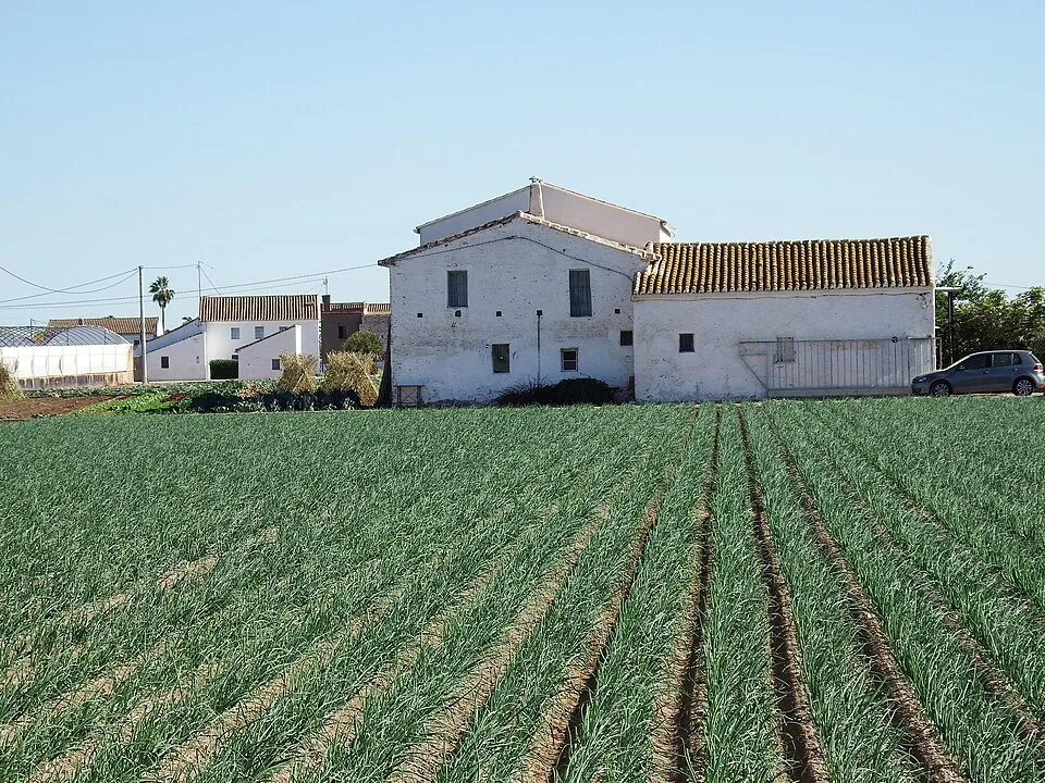 Parcelas y cultivos en la huerta de Alboraia
