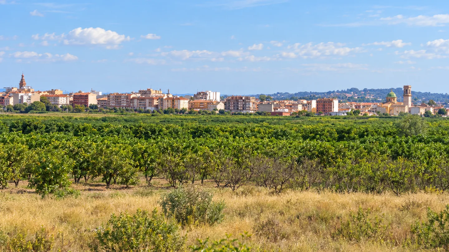 Vista de La Pobla de Vallbona entre campos y parcelas del entorno