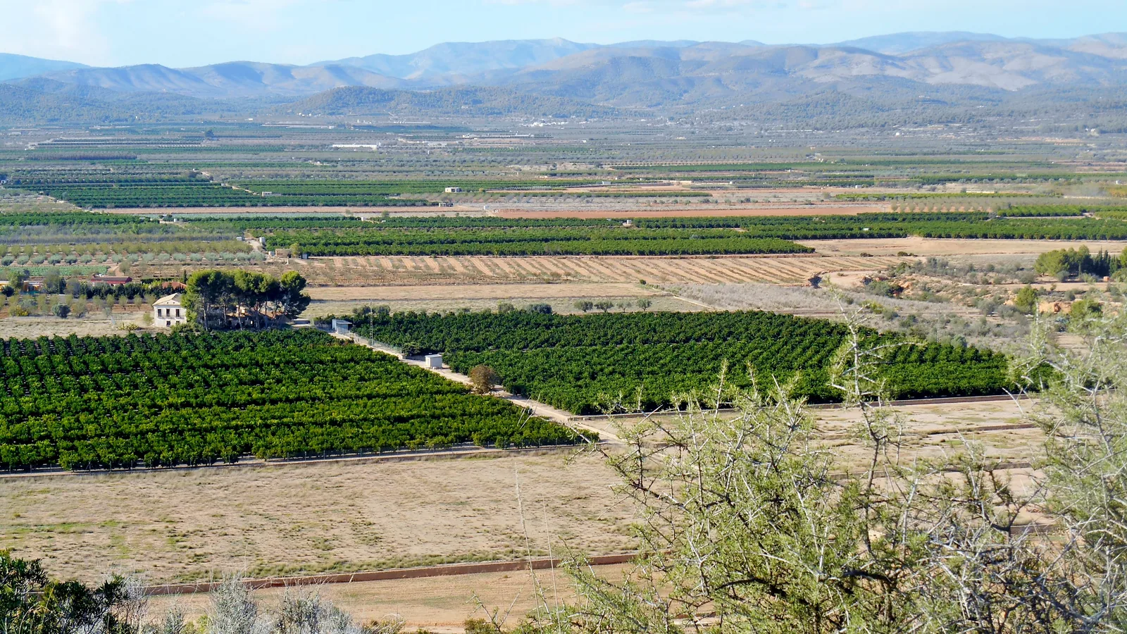 Paisaje agrícola y parcelas del término de Llíria desde La Mont-ravana
