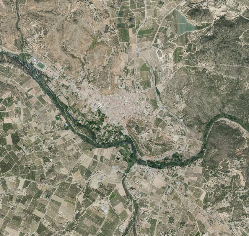 Ortofoto del entorno de Pedralba con núcleo urbano, río Turia y parcelas agrícolas